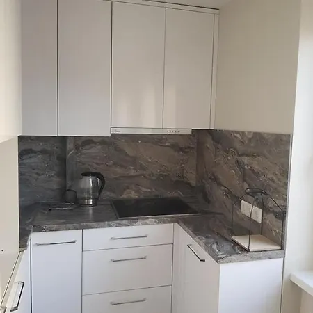 Daukanto For 아파트 *