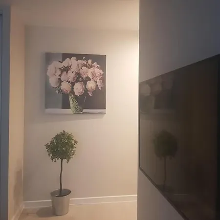 Daukanto For 클라이페다