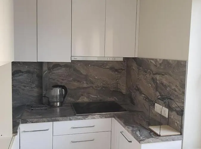 Daukanto For Apartman *