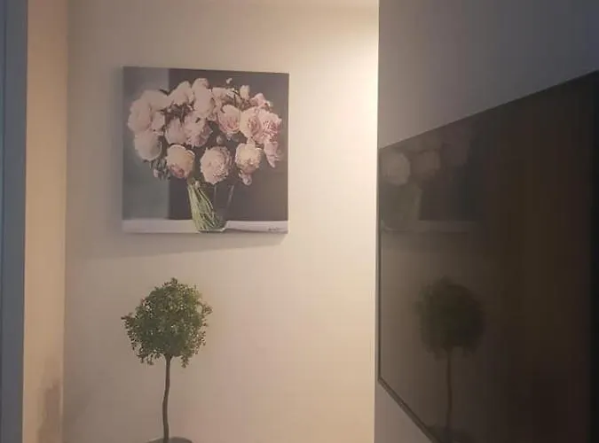 Daukanto For Klaipėda